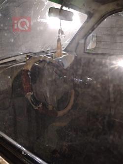 ليفان فويسون